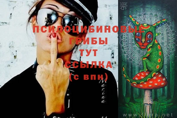 2c-b Алексин