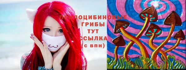 2c-b Алексин