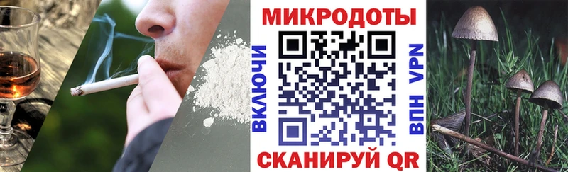 Псилоцибиновые грибы прущие грибы Приволжский