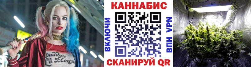 Канабис MAZAR Приволжский