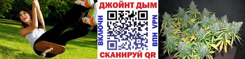 гидра ССЫЛКА  Приволжский  Марихуана индика 